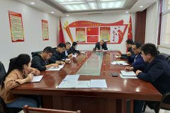公司第二支部開展“戴黨徽、亮身份、亮標準、亮承諾、展先鋒”主題黨日活動