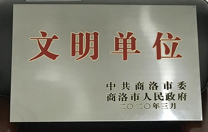 市城投公司榮獲2019年度“市級(jí)文明單位”稱(chēng)號(hào)